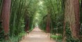 /album/galerie-photos/allee-entree-2-jpg/